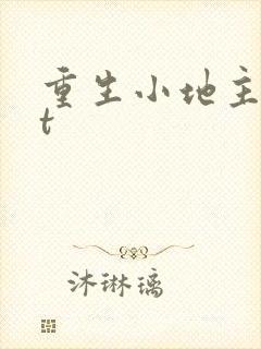 重生小地主txt