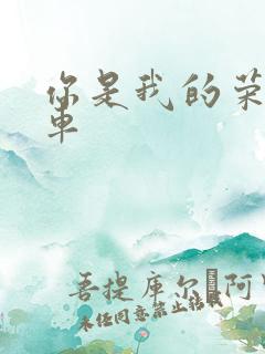 你是我的荣耀肉车