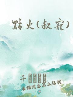 点火(叔宠)