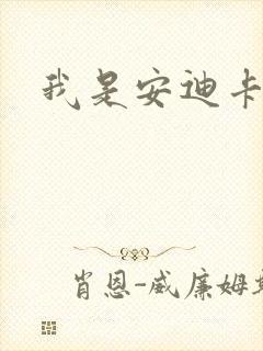 我是安迪卡罗尔