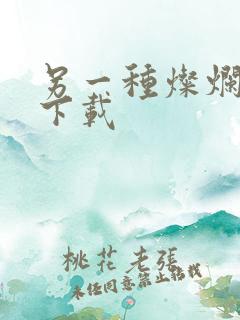 另一种灿烂生活下载