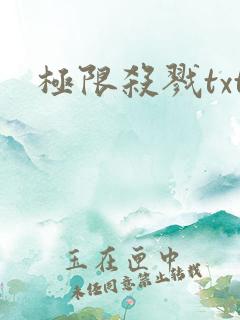 极限杀戮txt