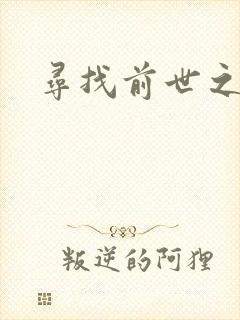 寻找前世之旅续