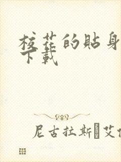 校花的贴身保镖下载