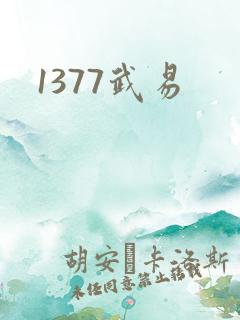 1377武易