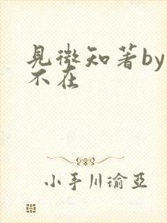 见微知著by音不在