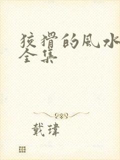 狡猾的风水相师全集