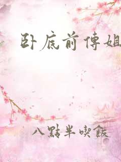 卧底前传姐妹篇