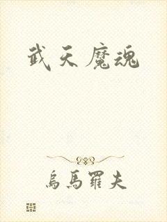 武天魔魂