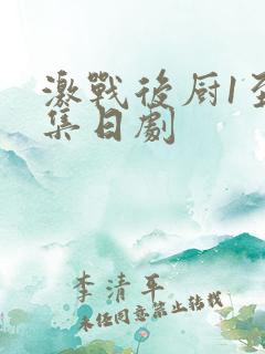 激战后厨1至5集日剧