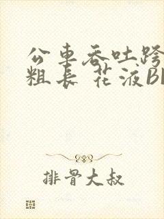 公车吞吐跨坐 粗长 花液BL