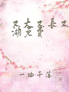 又大又长又租高湖免费