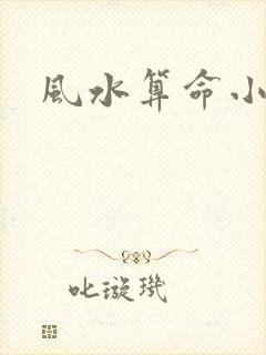 风水算命小说