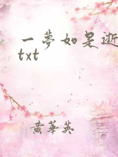 一梦如是逝水长txt