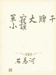 军宠大牌千金 小说