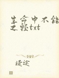 生命中不能承受之轻txt