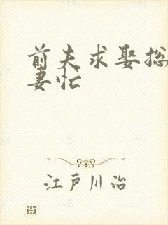 前夫求娶总裁追妻忙