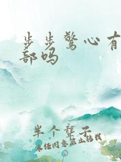 步步惊心有第二部吗