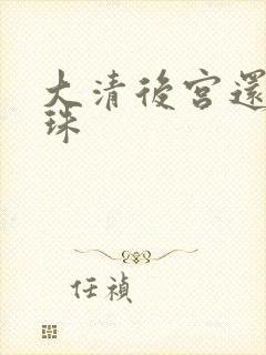 大清后宫还君明珠