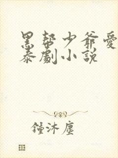 黑帮少爷爱上我泰剧小说