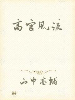 高官风流