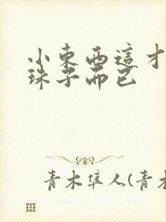 小东西这才一颗珠子而已