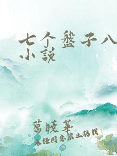 七个盘子八个碗小说