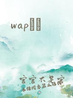 wapС˵