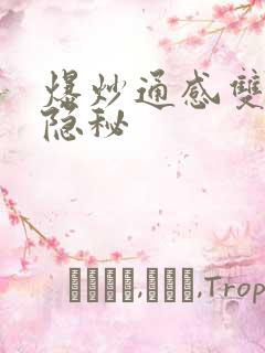 爆炒通感双胞胎隐秘