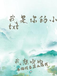 我是你的小小狗txt