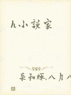 h小说家
