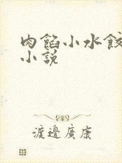 肉馅小水饺写的小说