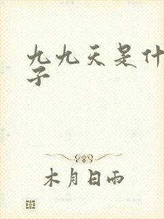 九九天是什么日子