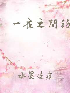 一夜之间的天才