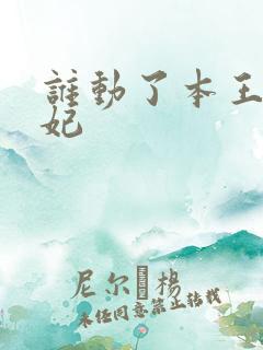 谁动了本王的悍妃