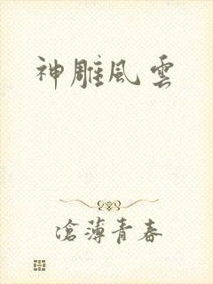 神雕风云