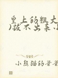 皇上的粗大(h)拔不出来小说