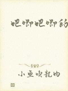 吧唧吧唧的进出