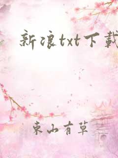 新浪txt下载