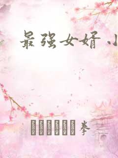 最强女婿 小说