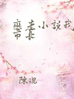 恋老小说我和老市长