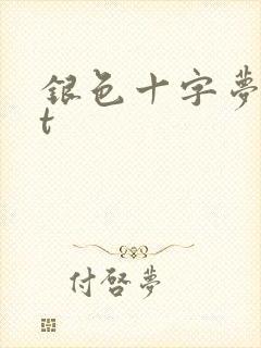 银色十字梦txt