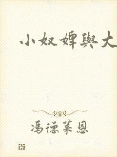 小奴婢与大少爷