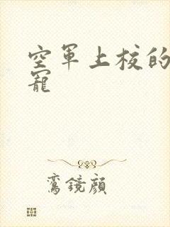 空军上校的邪魅宠