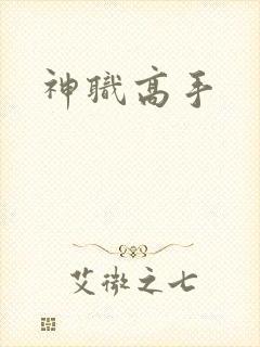 神职高手