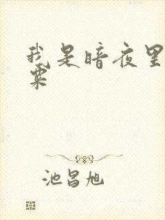 我是暗夜里的罂粟