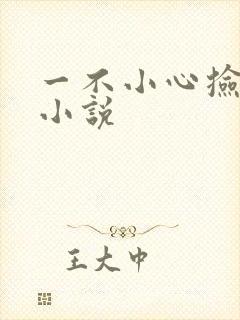一不小心捡到爱小说