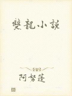 双龙小说