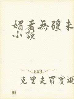 媚者无疆未删减小说