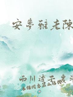 安梦雅老陈
